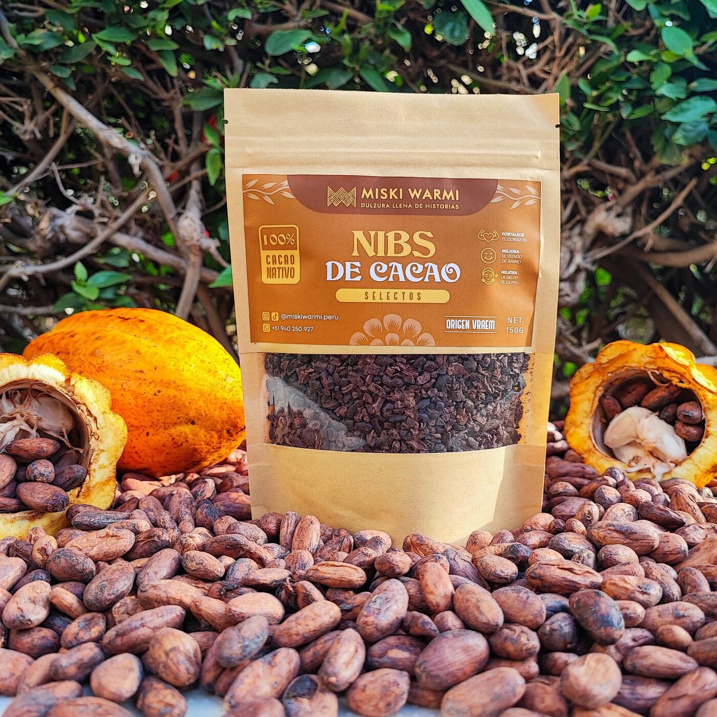Nibs de cacao — Trozos de cacao tostado